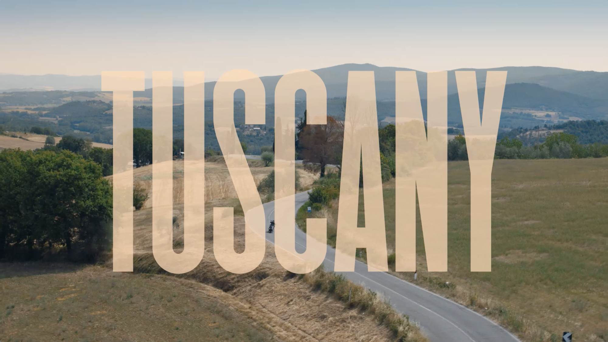 Matt Willey X Killing Eve @ Matt Willey