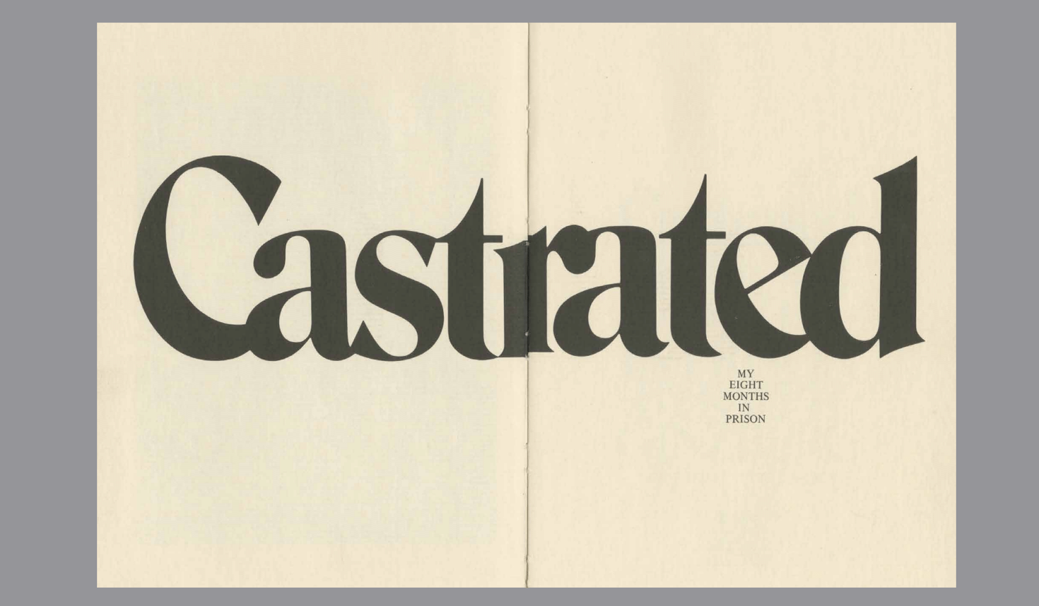 All images via "Lubalin, Ginzburg, and the Triumph of Creative Risk"