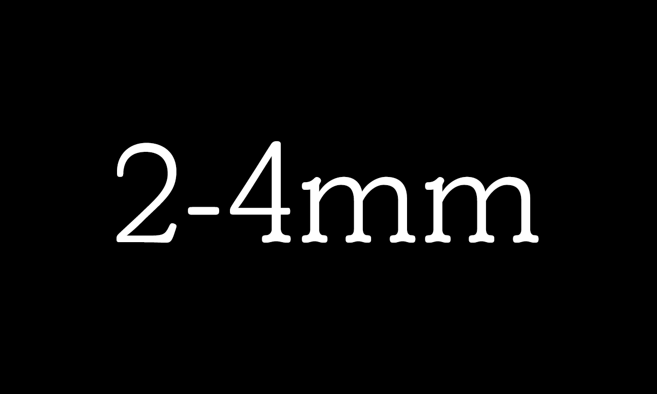 Juniper by Miguel Gaydosh 